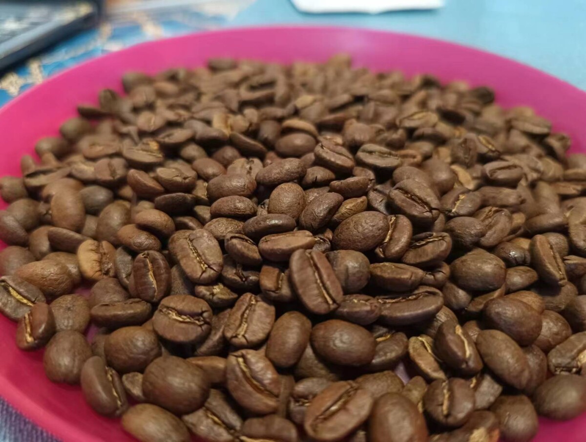 我带儿子做咖啡